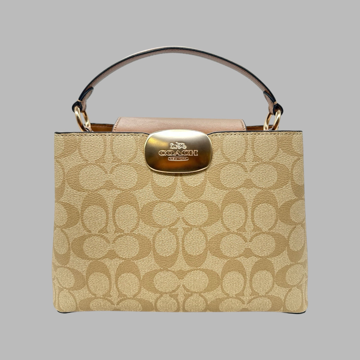 Eliza Top Handle Bag In Signature Canvas